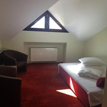Pensiunea La Bella Vista Guest house 4*