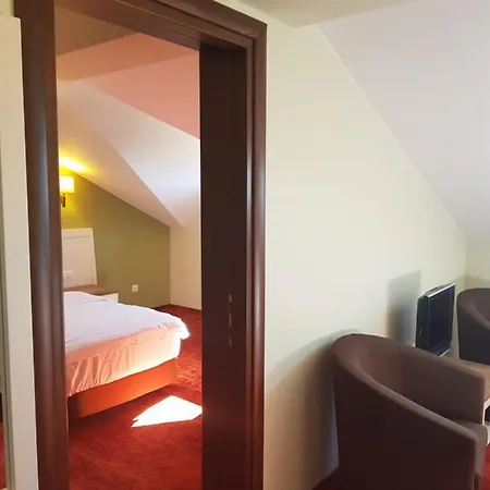 Pensiunea La Bella Vista Guest house 4*