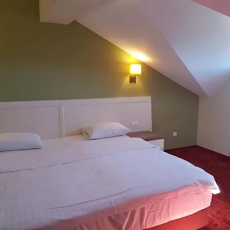 Pensiunea La Bella Vista Guest house
